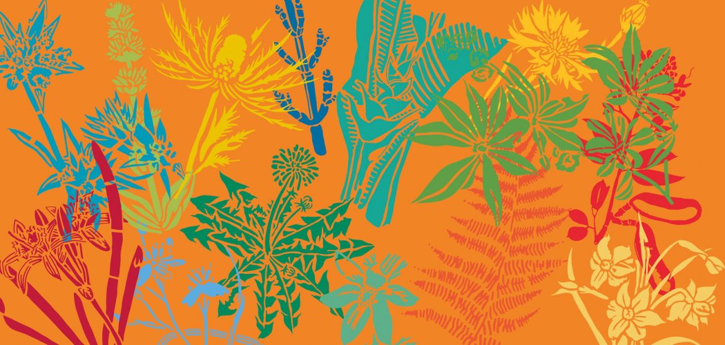 La Belle Saison des CBN 2026