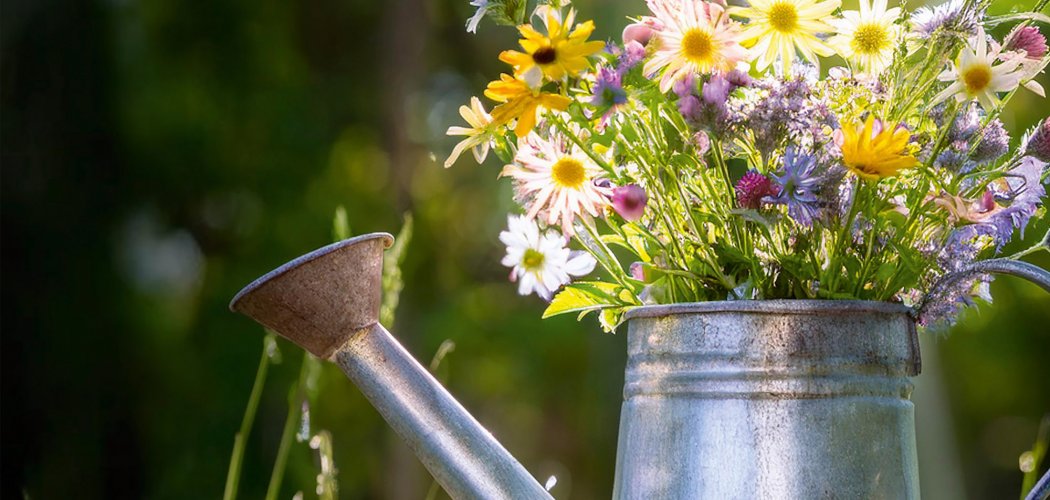 29ème Fête des plantes de Chavaniac-Lafayette