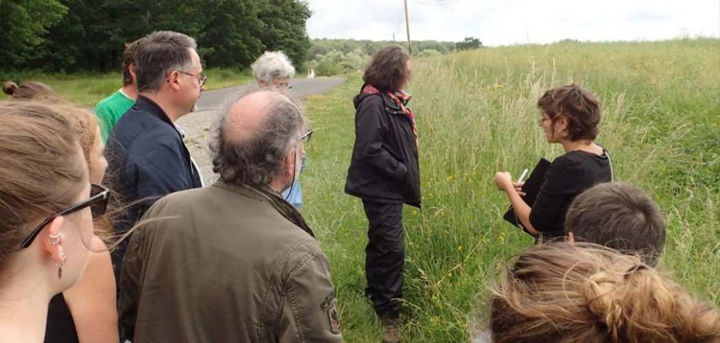 Rencontre avec le réseau d’observateurs botanistes de l’Allier