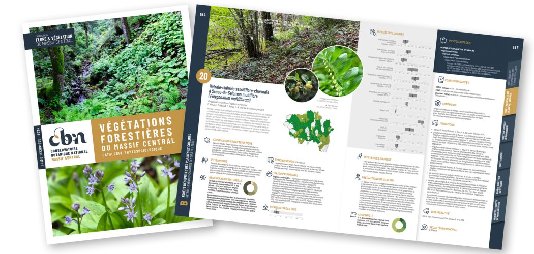 Le CBN du Massif central publie son catalogue des végétations forestières