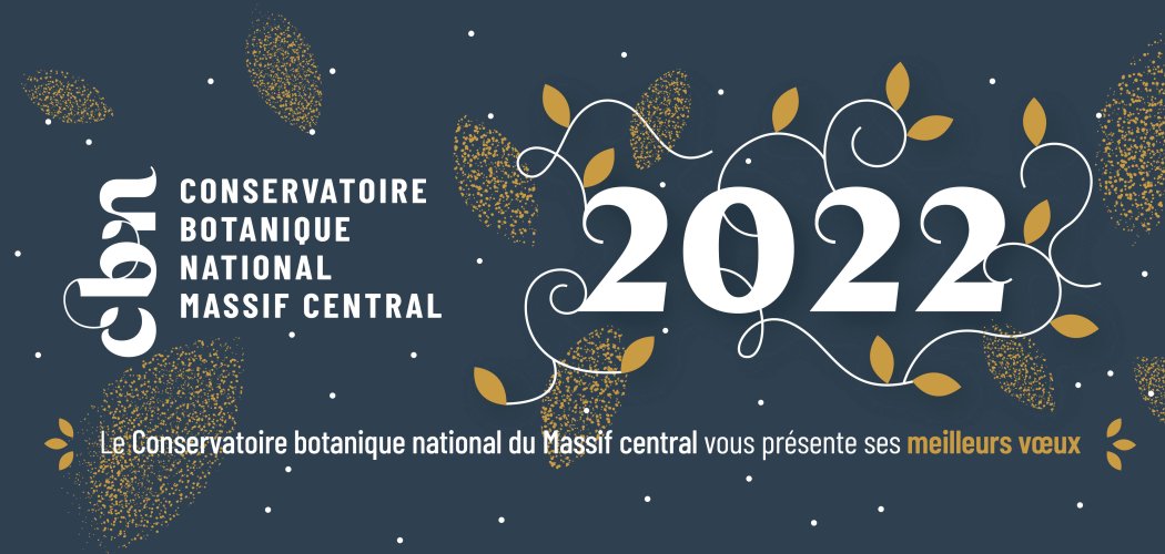 Meilleurs voeux !!!