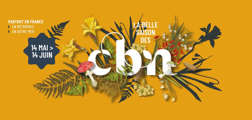 La Belle Saison des CBN