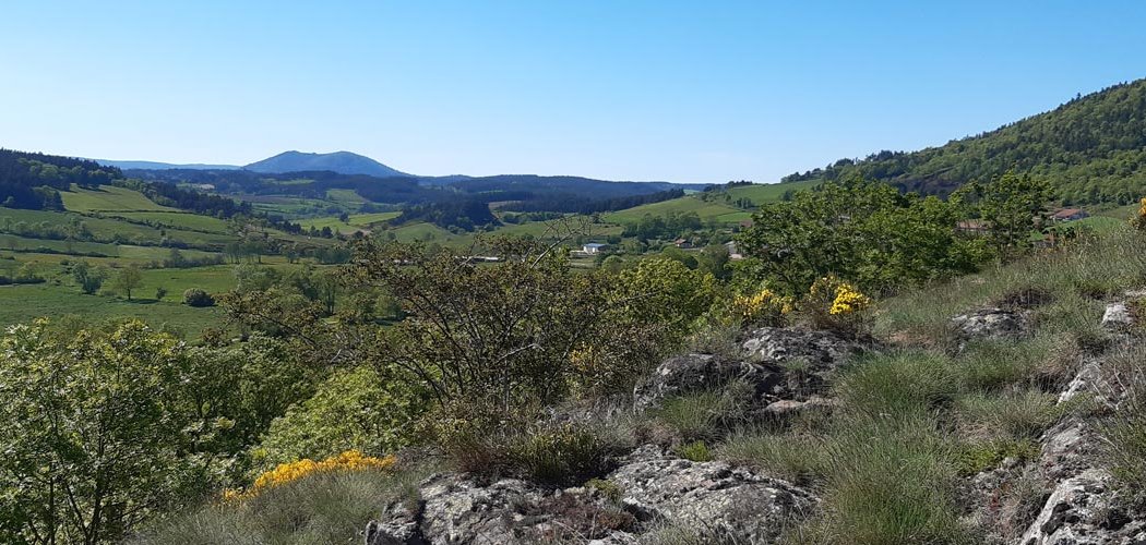 Synopsis des végétations de la région Auvergne-Rhône-Alpes