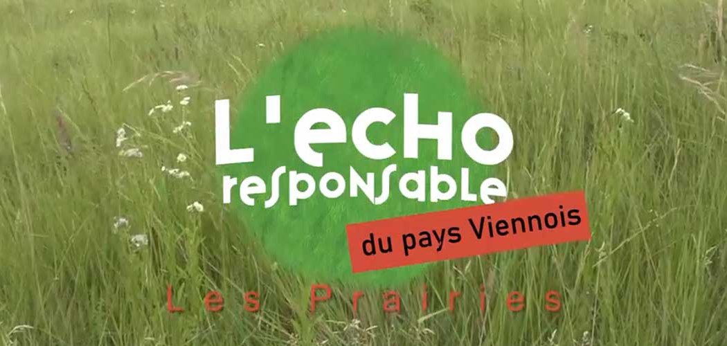 La flore sauvage des pelouses sèches au service des viticulteurs du Rhône