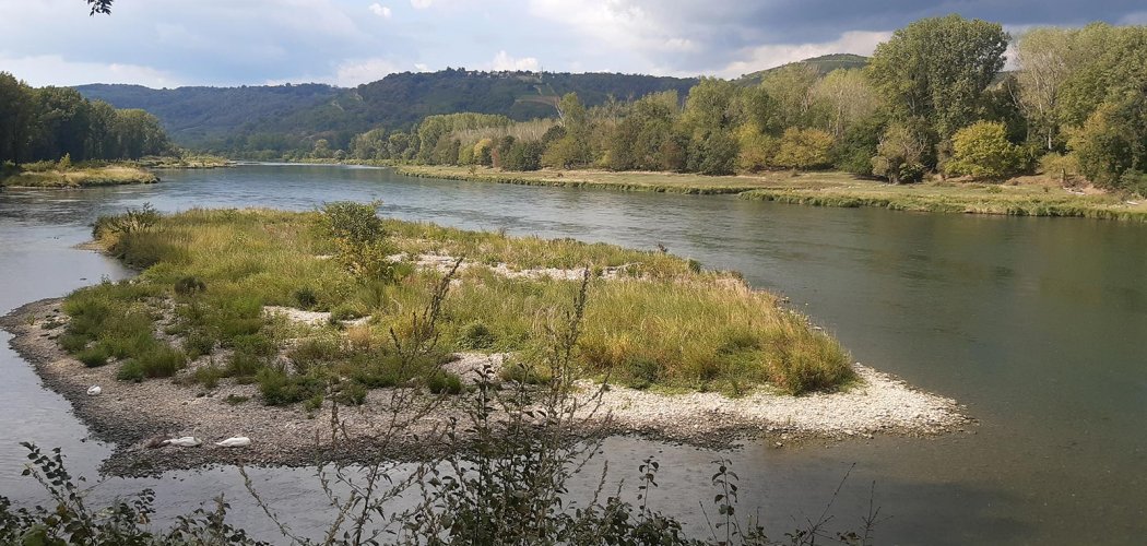 Lancement du plan national d’action en faveur des ripisylves* du Rhône et de l’Epipactis du Castor