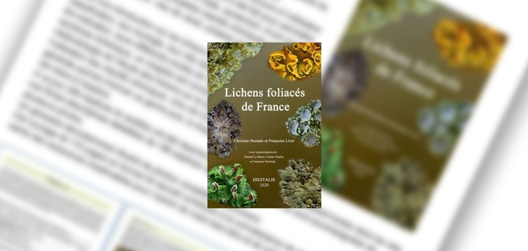 Lichens foliacés de France