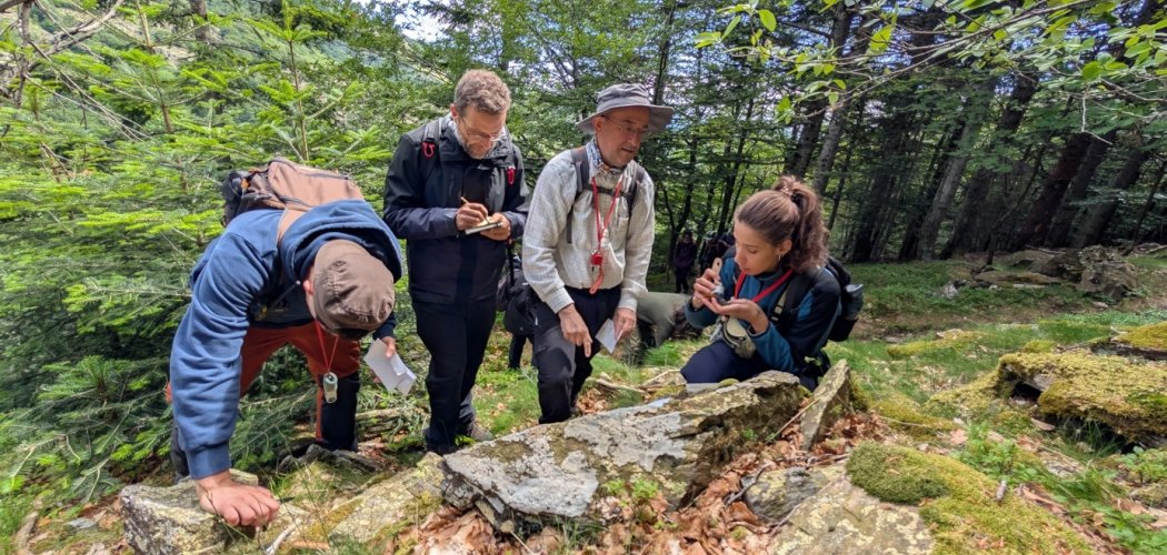 Des rencontres bryologiques franco-espagnoles dans le sud-ouest du Massif central