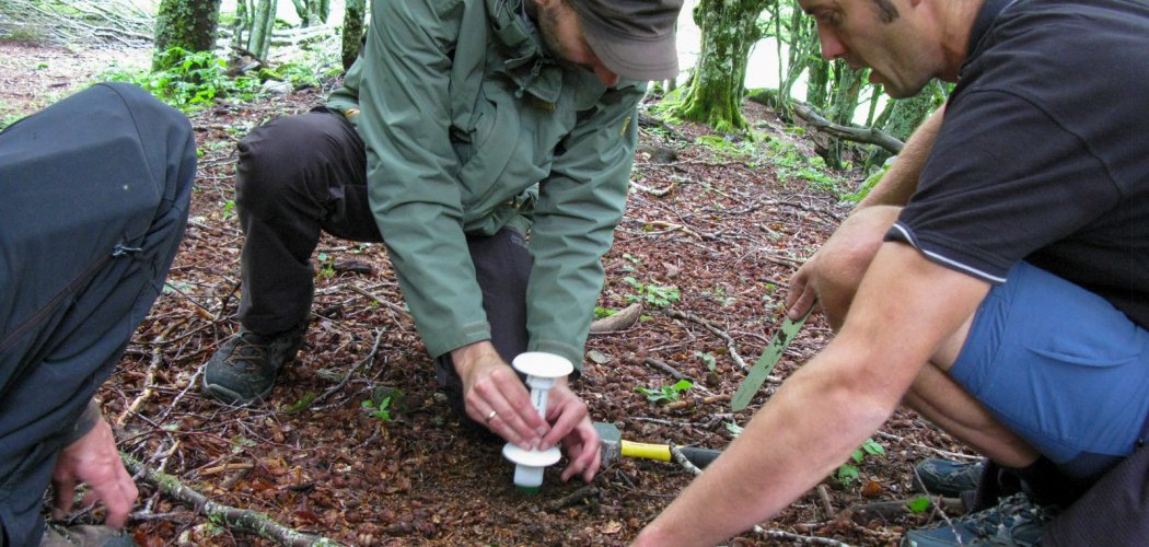 Mieux comprendre le microclimat forestier dans un contexte de changement climatique