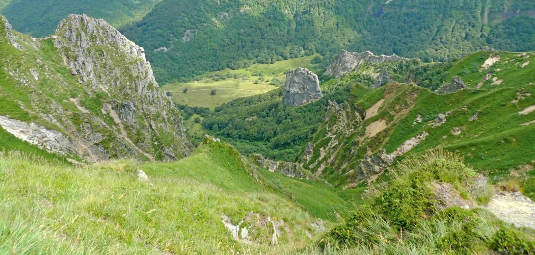 Un catalogue des végétations des Réserves naturelles du massif du Sancy
