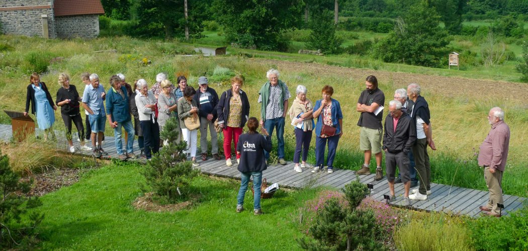 Sorties botaniques et animations proposées par le CBN : demandez le programme !