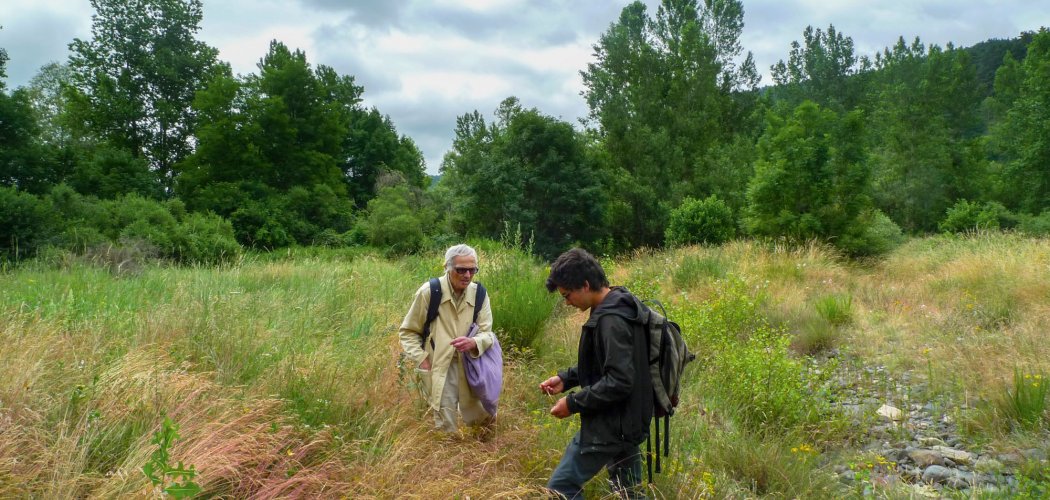 Projet de développement de la connaissance sur des espèces délicates à identifier dans le Massif central
