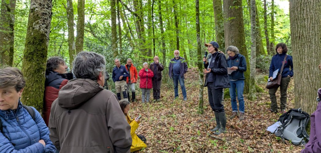 Des sylviculteurs soucieux de la biodiversité forestière en Limousin