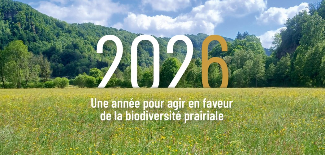 Meilleurs voeux 2026 !