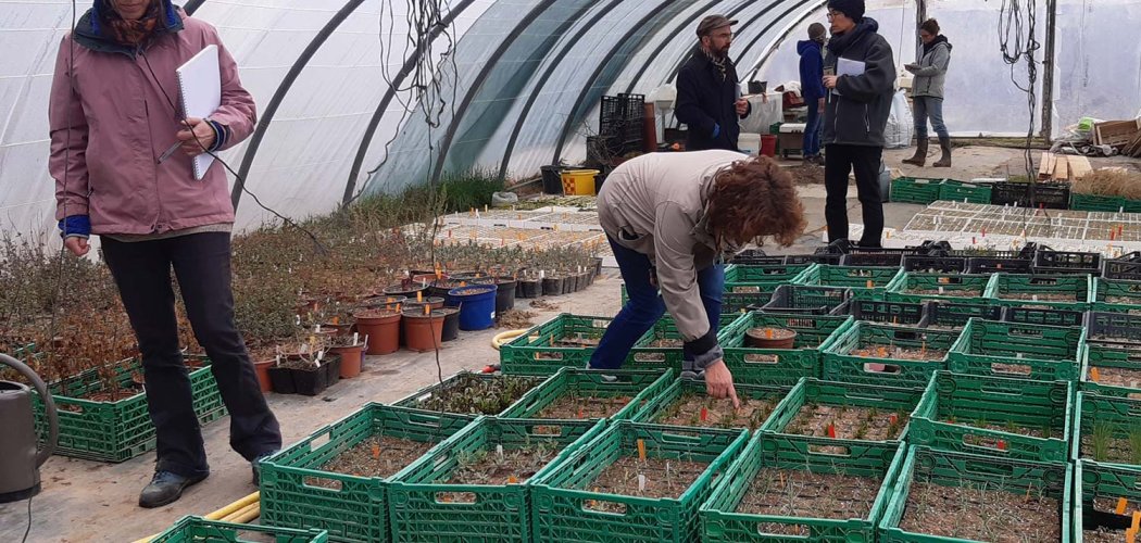 VEGETAL LOCAL : ça bouge dans le Massif central !