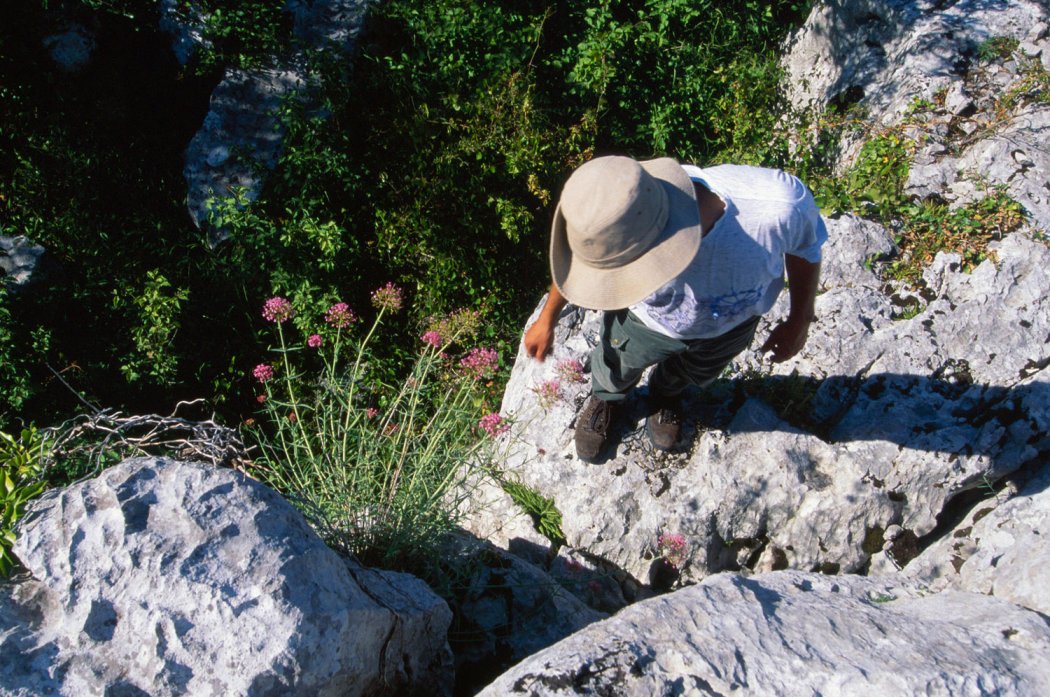 Inventaire général du plateau et de la face sud de la Dent de Rez