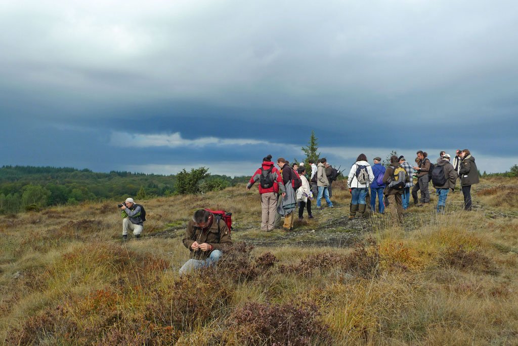 Réunion du réseau d'observateurs de la flore du Cantal