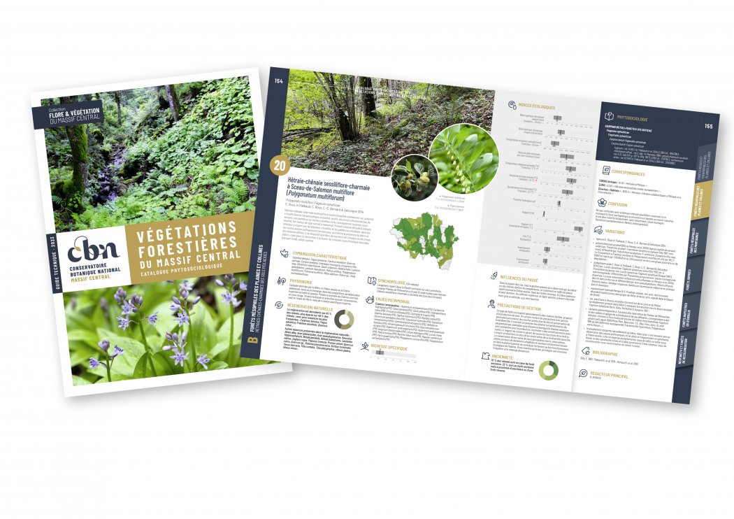 Journées techniques : la phytosociologie en forêt les 21 et 22 avril en Haute-Vienne