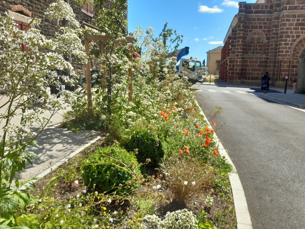 Journée d'échange "Végétalisation durable des espaces verts"