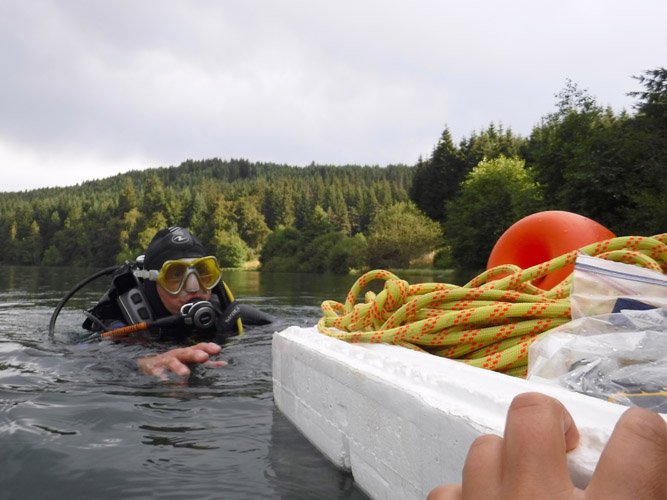 Plongez à la recherche de l’Isoète des Lacs