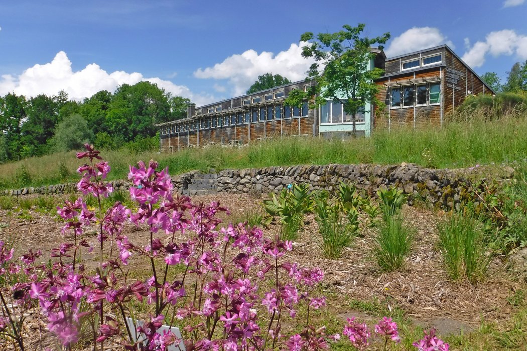 Visite guidée des jardins du Conservatoire