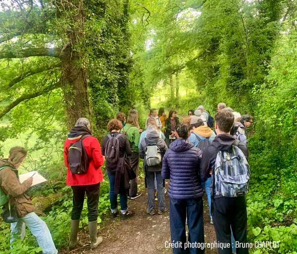 A la découverte de la flore vernale de la Forêt du Puy de Gaudy