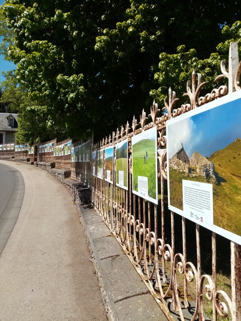 EXPO - Voyages au coeur des prairies naturelles du Massif central