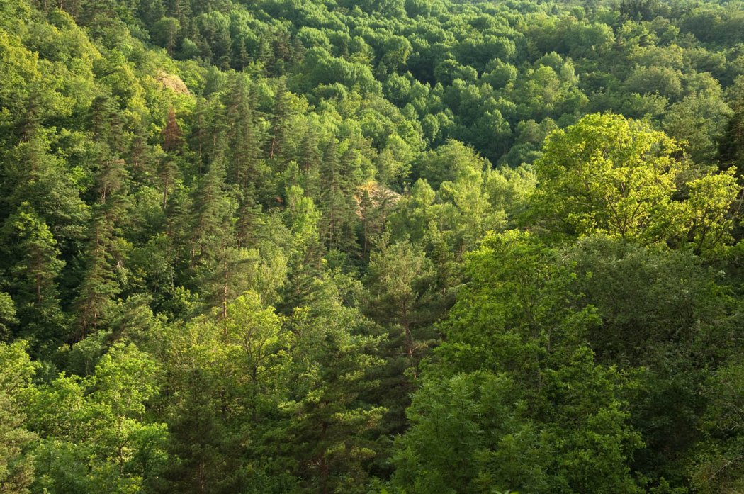 Conférence "La biodiversité casadéenne à travers l'histoire..."