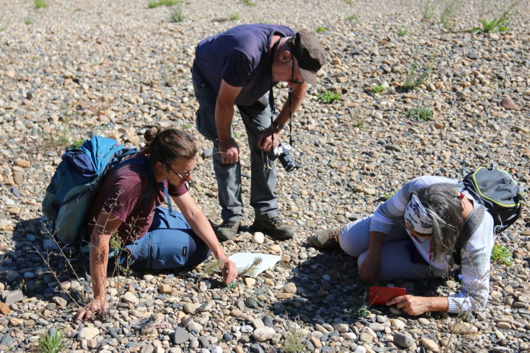 Inventaire général d'une maille déficitaire dans l'Allier
