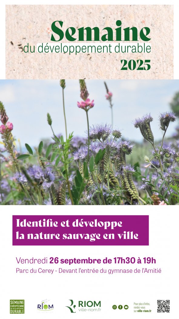 Apprendre à connaitre et à préserver les plantes sauvages en ville