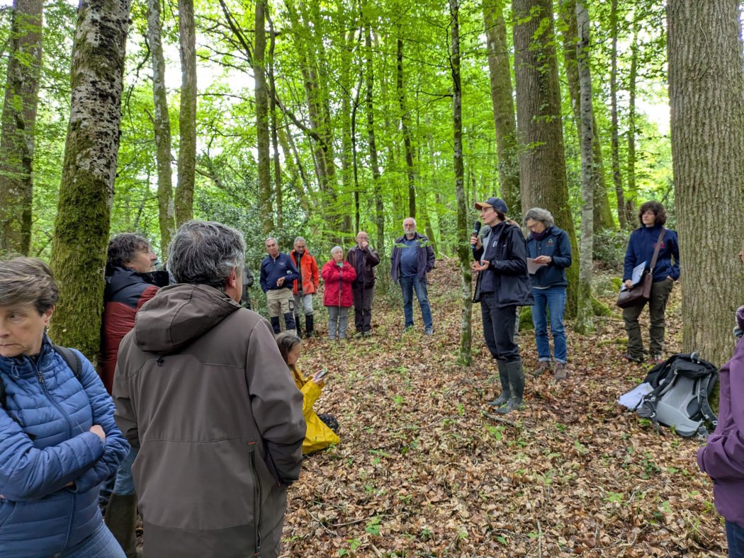 Caractériser les forêts anciennes et matures du Limousin