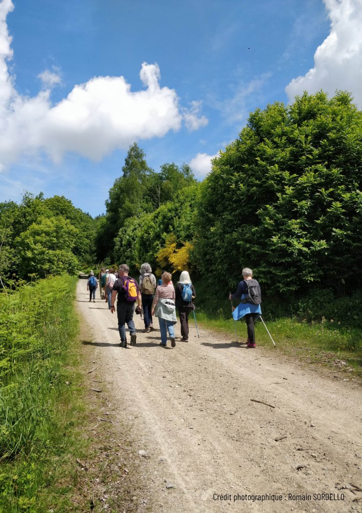 Inventaire participatif de la maille d'Issoudun-Létrieix / Peyrat-la-Nonière