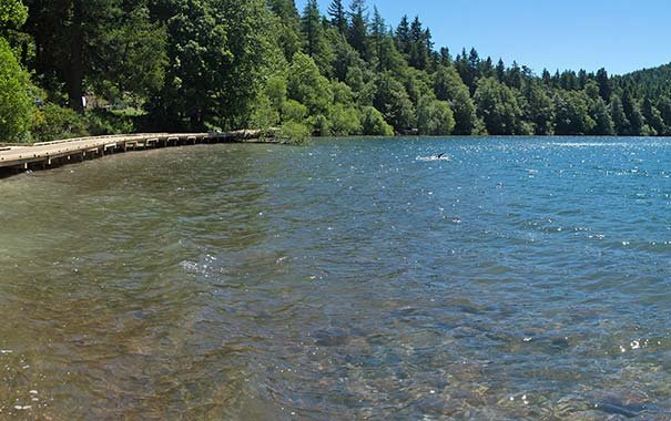 Balade naturaliste entre lac & forêt