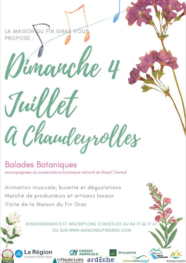 Balades botaniques sur le plateau du Mézenc