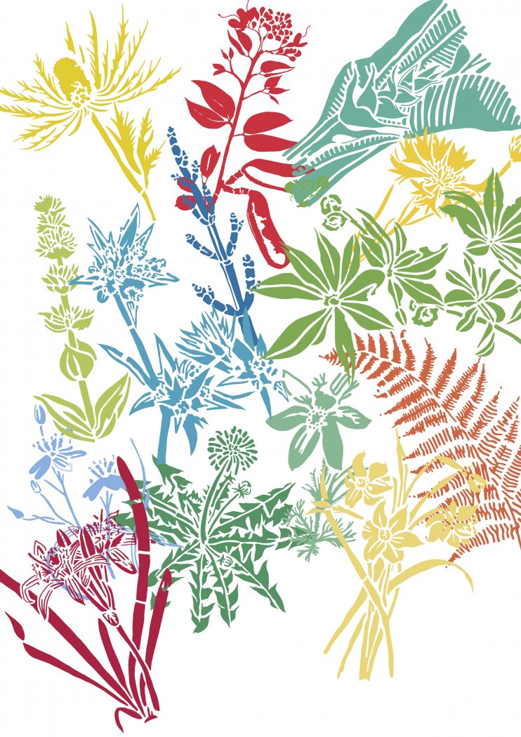 Ateliers enfants - Ex(s)istere, une ode au végétal sauvage