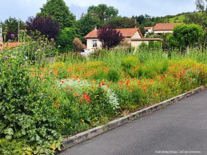 Semez la biodiversité