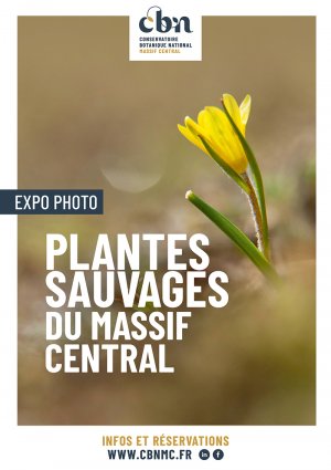 Expo photo "Plantes sauvages du Massif central"