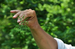 Être botaniste en 2026