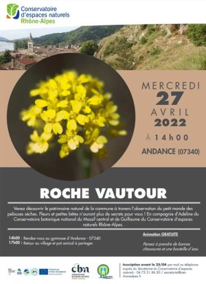 Roche vautour