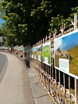 EXPO - Voyages au coeur des prairies naturelles du Massif central