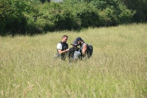Inventaire des plantes vasculaires des Monts du Beaujolais