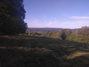 Fête de la Montagne Limousine - Sortie botanique entre prairies et milieux humides