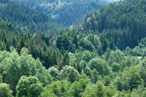 La biodiversité casadéenne à travers l'Histoire