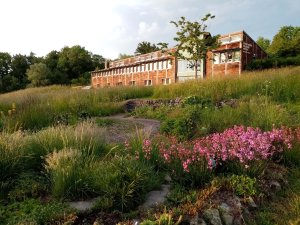 Fête des Plantes - Visite "Partons à la découverte des fleurs et des végétations du Massif central"