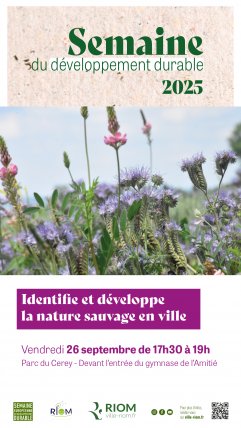 Apprendre à connaitre et à préserver les plantes sauvages en ville Apprendre à connaitre et à préserver les plantes sauvages en ville
