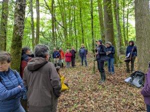 Caractériser les forêts anciennes et matures du Limousin
