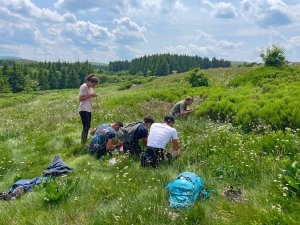 Elevage montagnard et prairies fleuries : ce que les plantes nous racontent