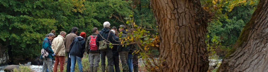 Participer aux actions du CBN