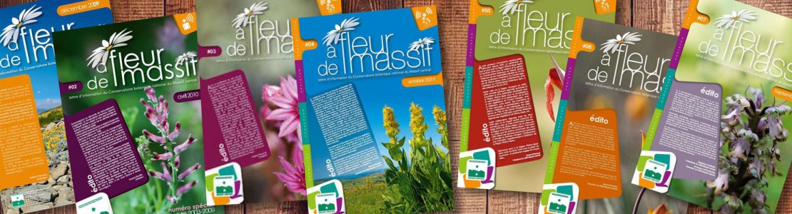 Journal d’information : À fleur de massif