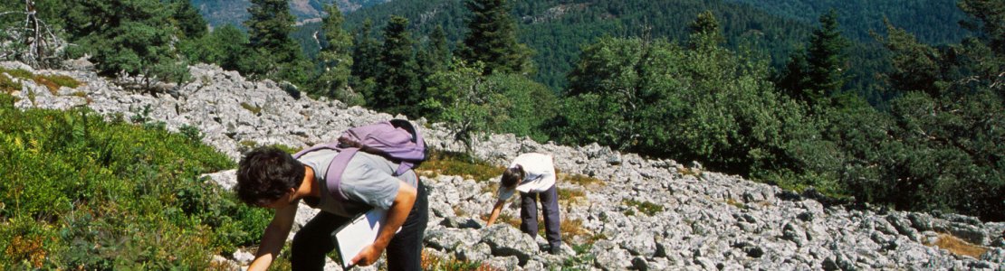 Métiers / Emplois / Stages