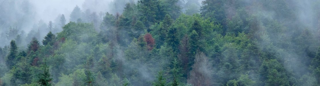 Un carrefour climatique…